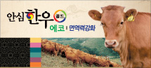 �Ƚ��ѿ� ��� ���� / �鿪�� ��ȭ